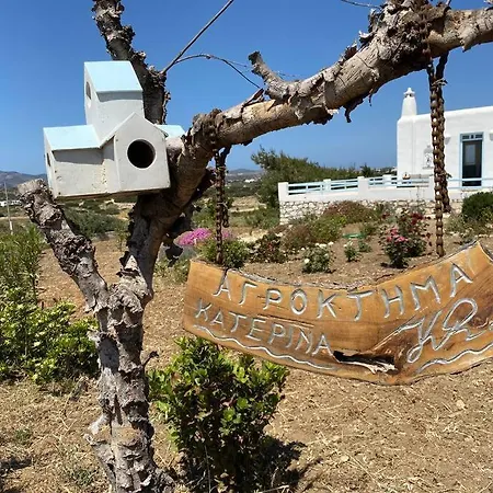 Дом отдыха New Cycladic House ¨agroktima Katerina¨ *